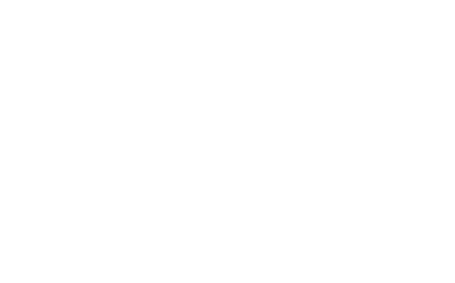 Project Insight Logo